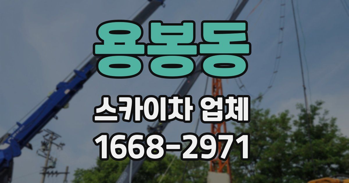 용봉동 스카이차 업체