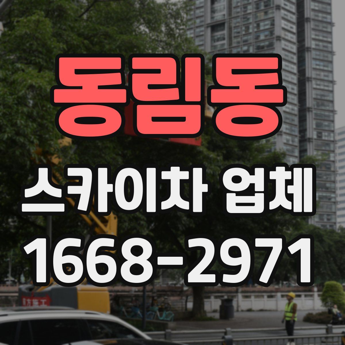 동림동 스카이차 업체