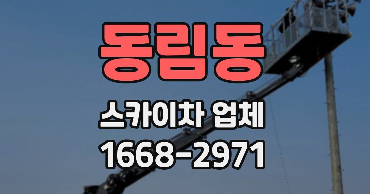 동림동 스카이차 업체