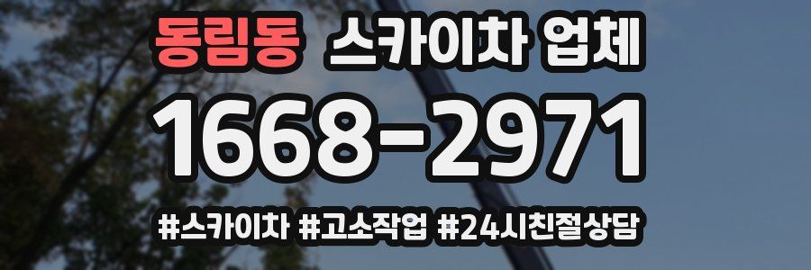 동림동 스카이차 업체