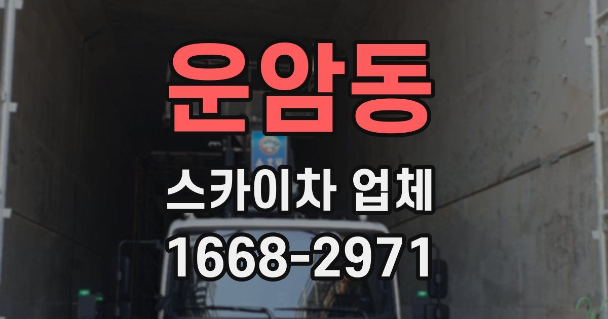 운암동 스카이차 업체