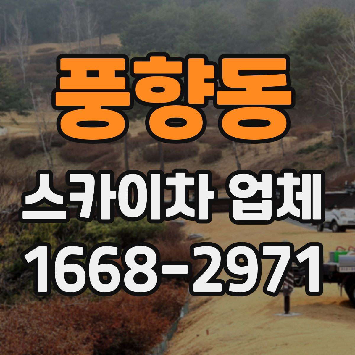 풍향동 스카이차 업체