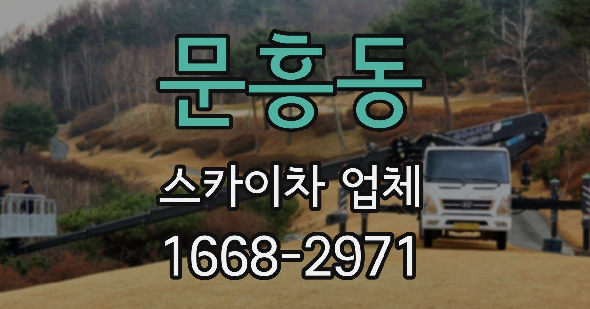 문흥동 스카이차 업체