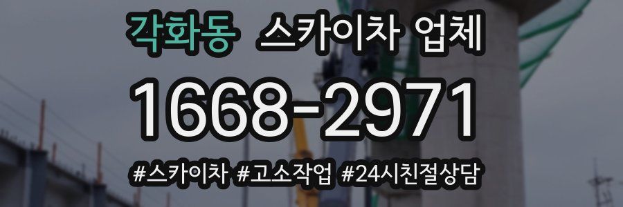 각화동 스카이차 업체