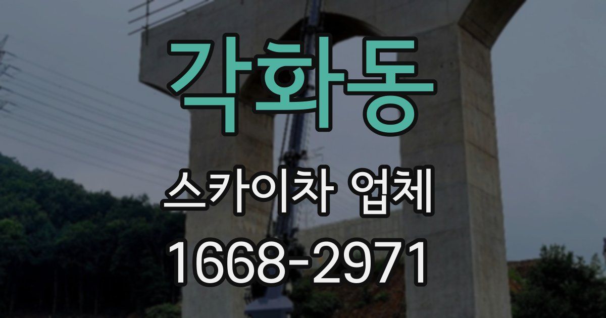 각화동 스카이차 업체