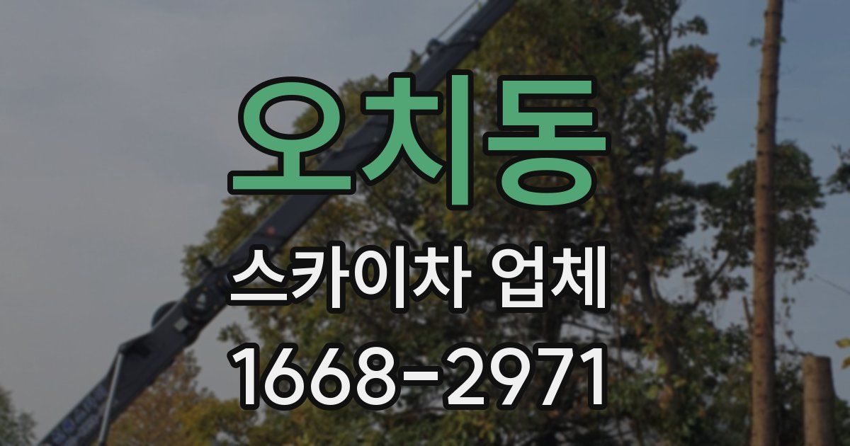오치동 스카이차 업체
