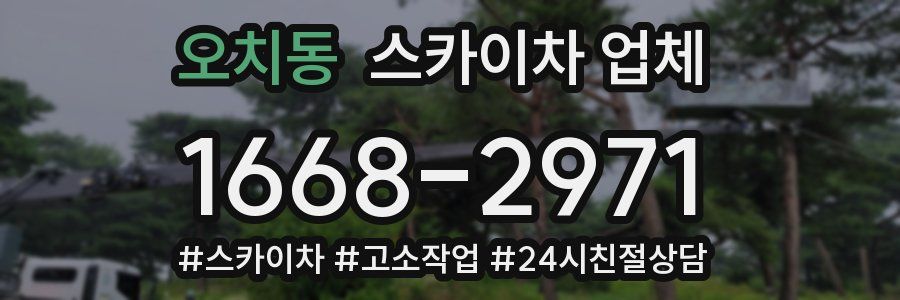 오치동 스카이차 업체