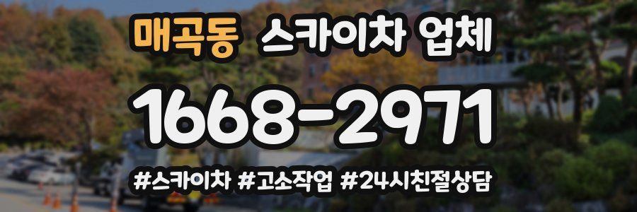 매곡동 스카이차 업체
