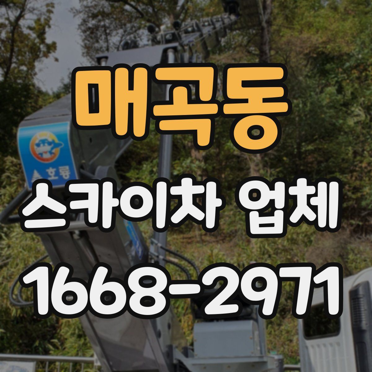 매곡동 스카이차 업체