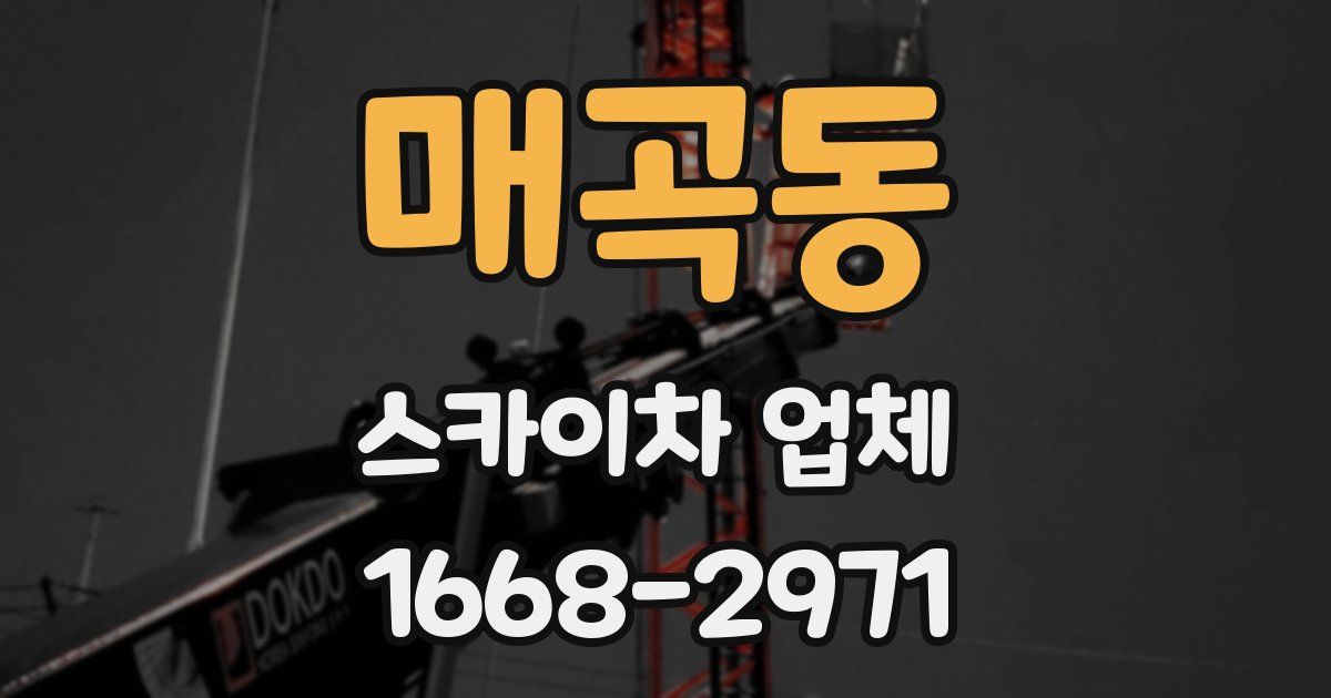 매곡동 스카이차 업체