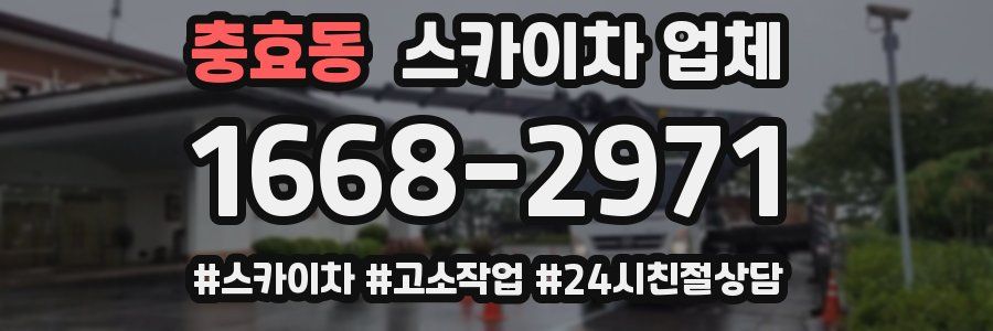 충효동 스카이차 업체