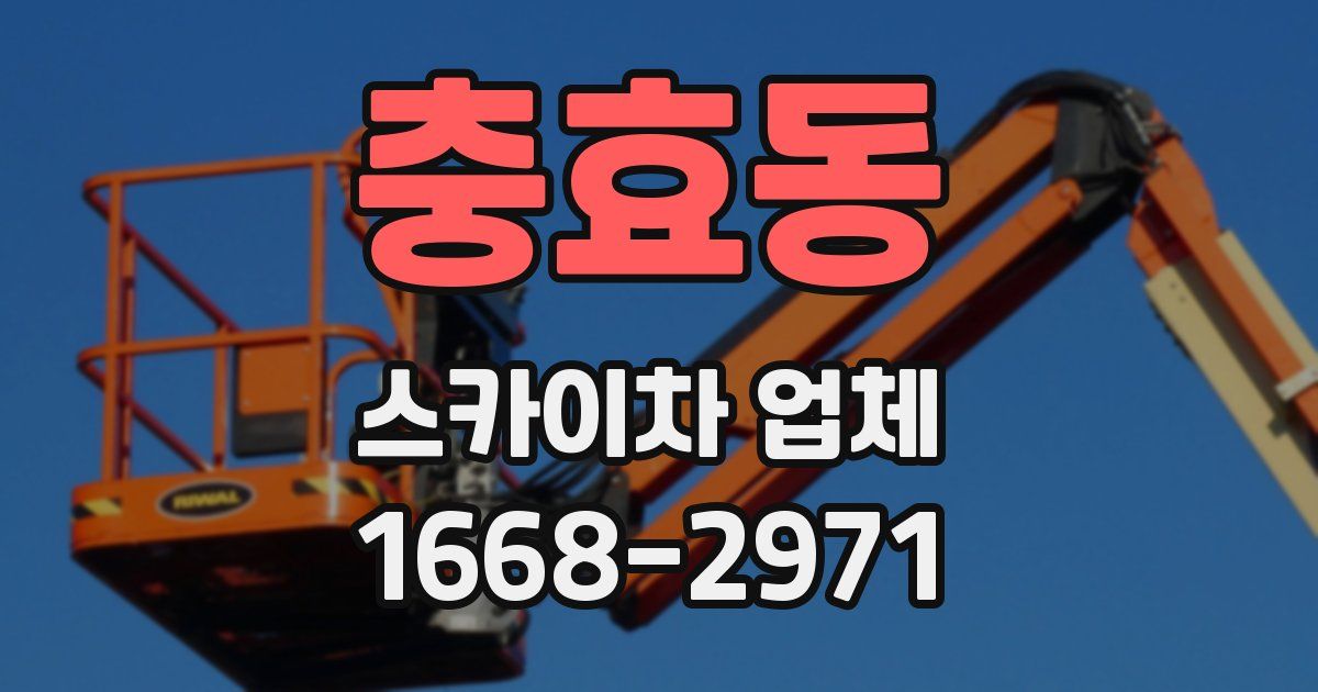 충효동 스카이차 업체