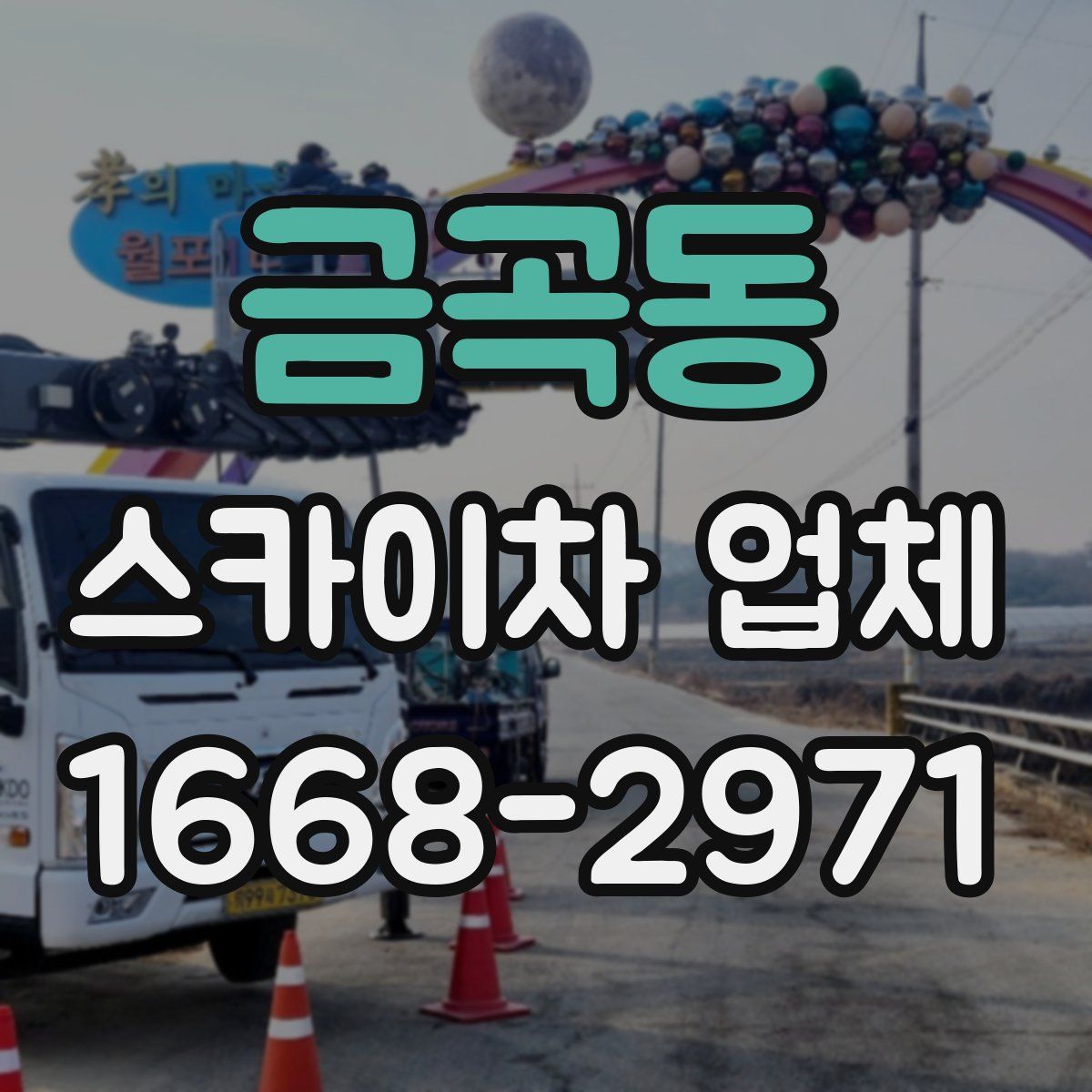 금곡동 스카이차 업체