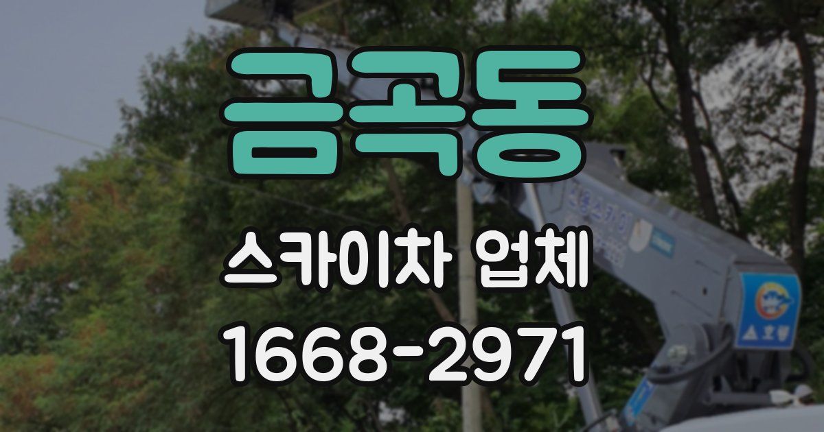 금곡동 스카이차 업체