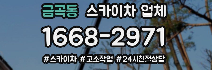 금곡동 스카이차 업체