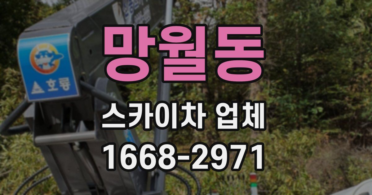 망월동 스카이차 업체