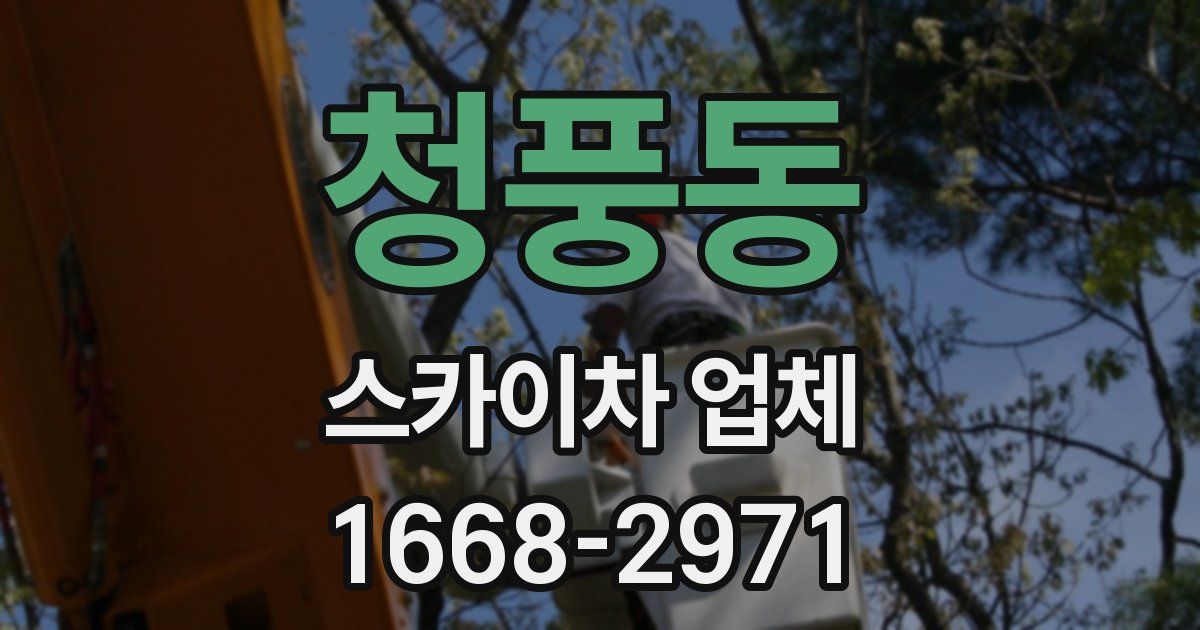 청풍동 스카이차 업체