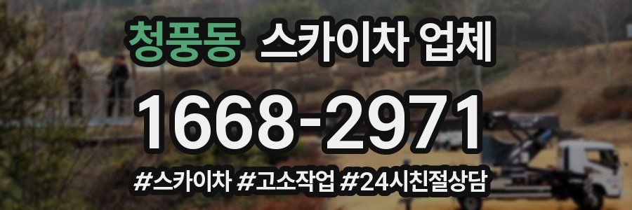 청풍동 스카이차 업체