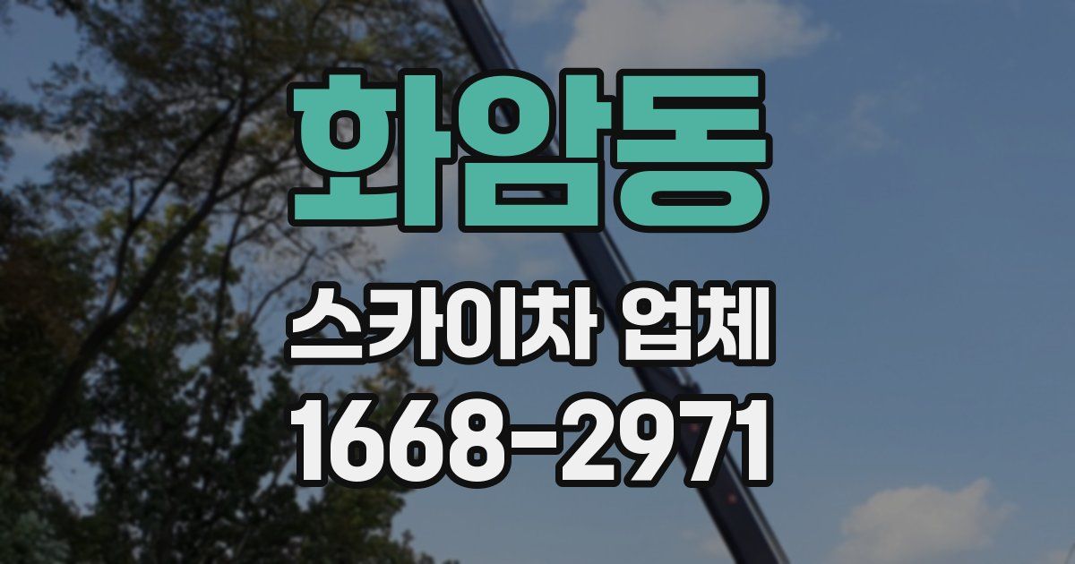 화암동 스카이차 업체