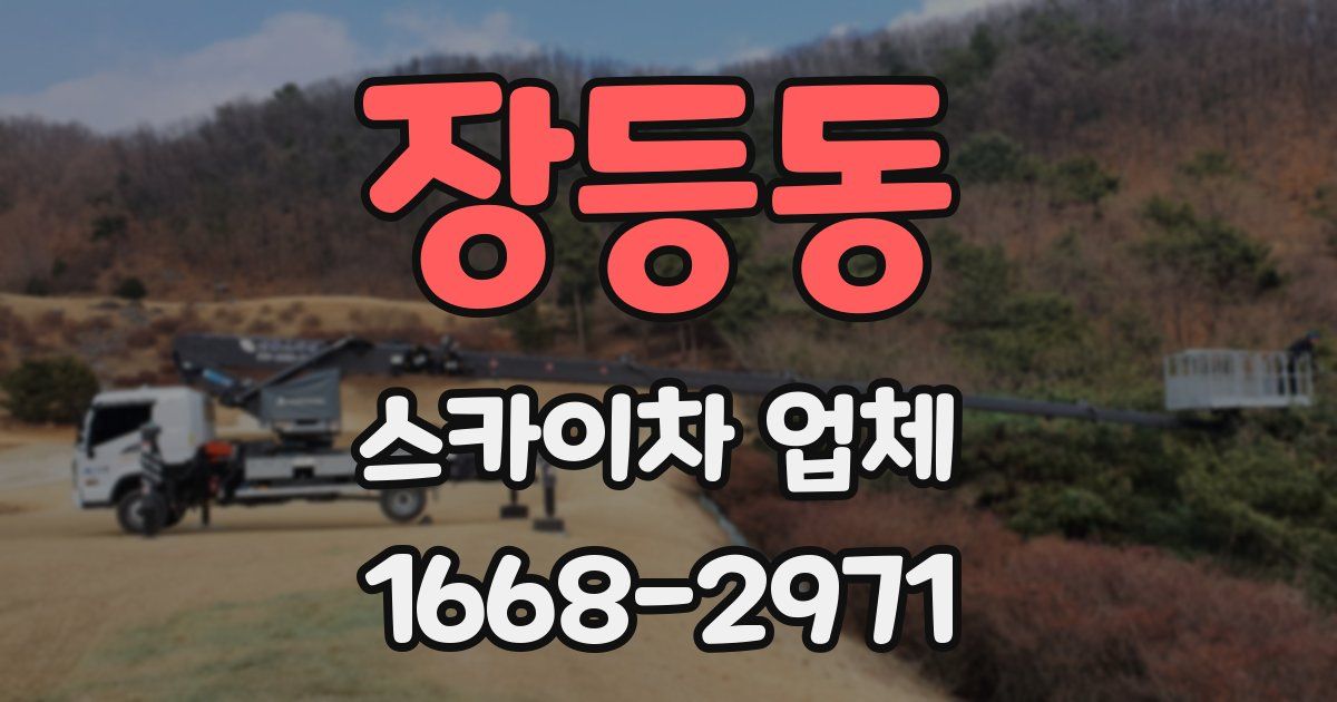장등동 스카이차 업체