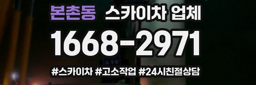 본촌동 스카이차 업체
