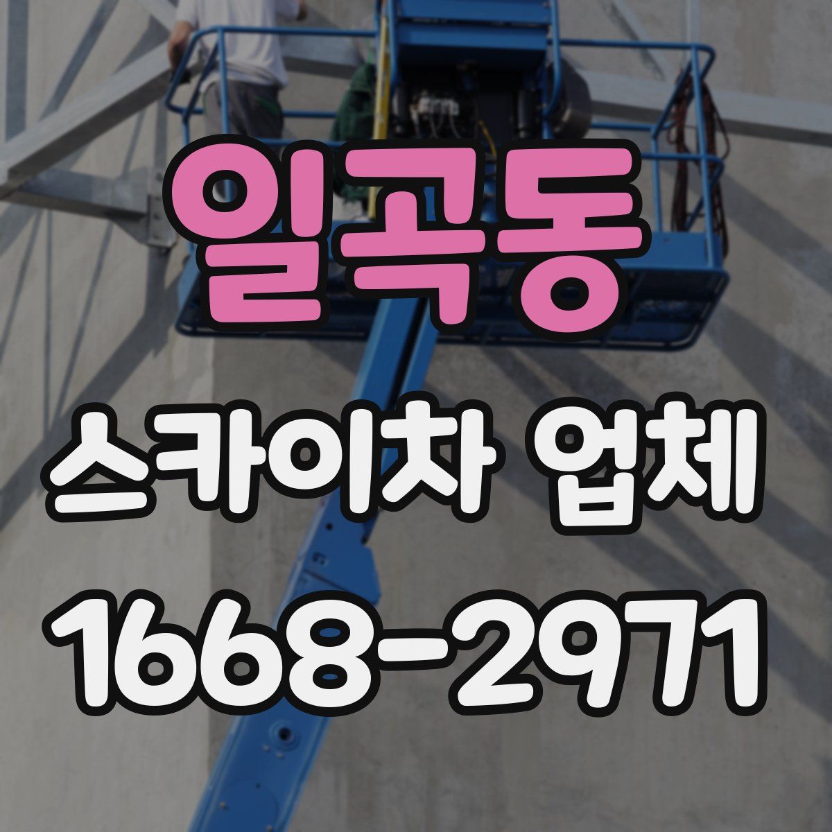 일곡동 스카이차 업체