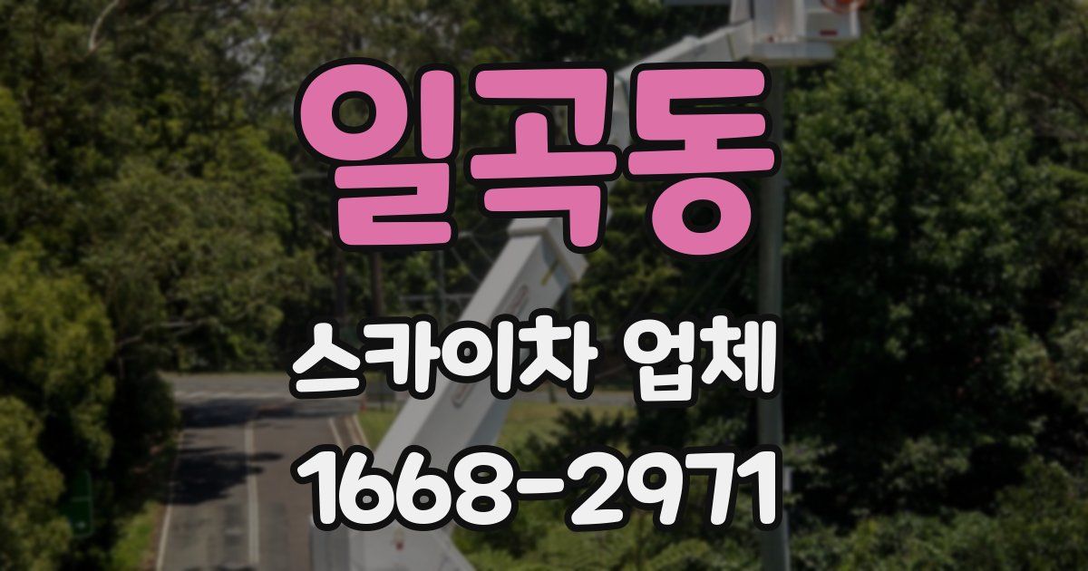 일곡동 스카이차 업체