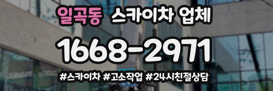일곡동 스카이차 업체