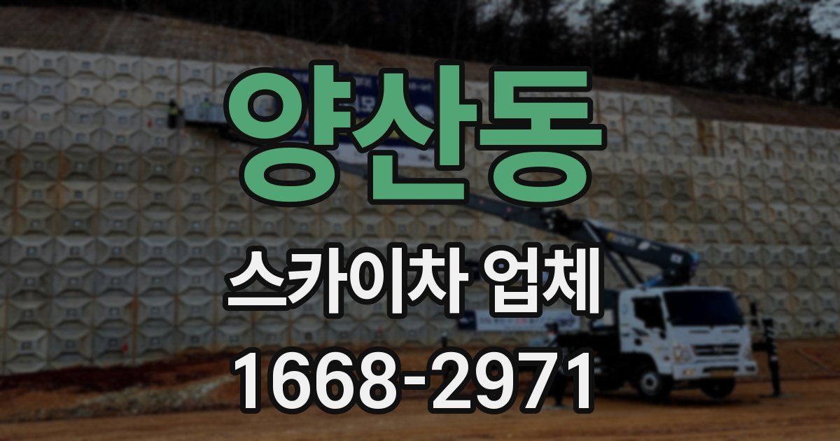 양산동 스카이차 업체