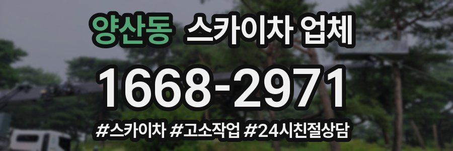 양산동 스카이차 업체