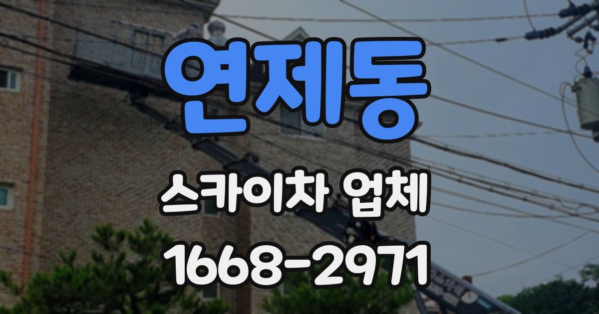 연제동 스카이차 업체