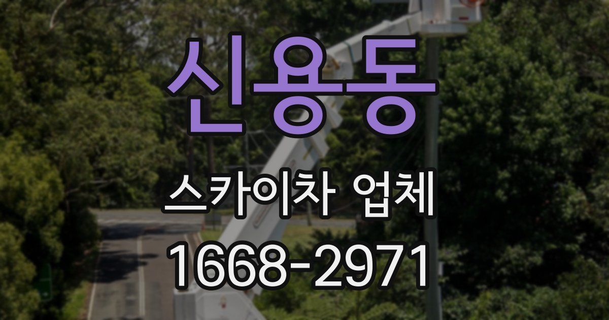 신용동 스카이차 업체