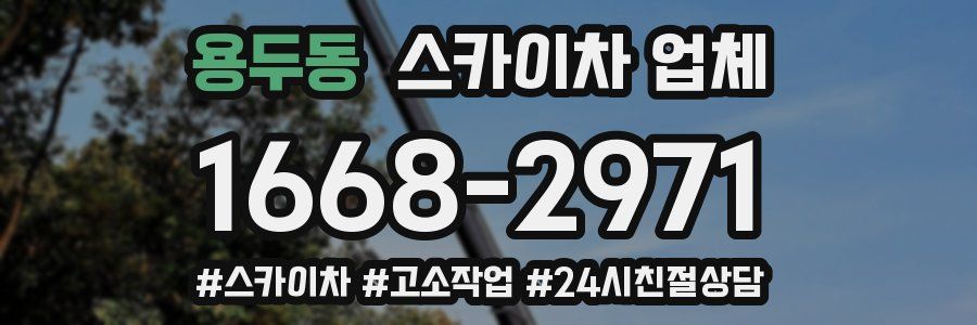 용두동 스카이차 업체