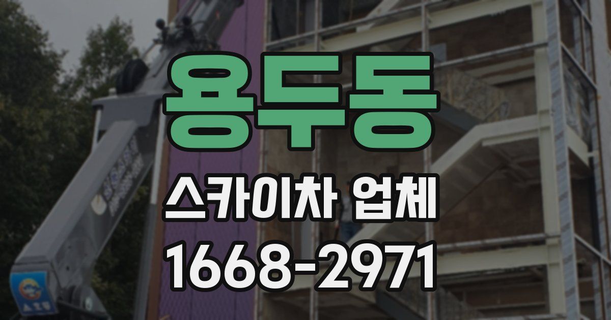 용두동 스카이차 업체