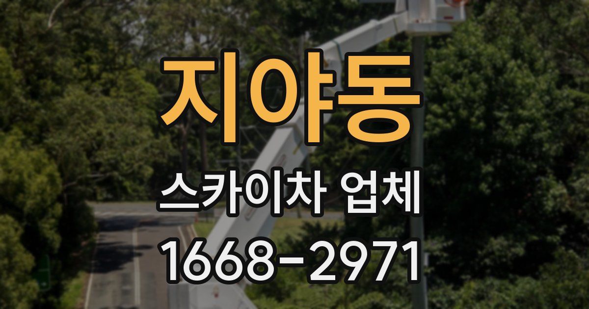 지야동 스카이차 업체