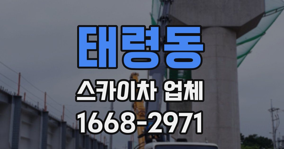 태령동 스카이차 업체