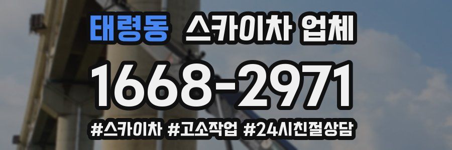 태령동 스카이차 업체