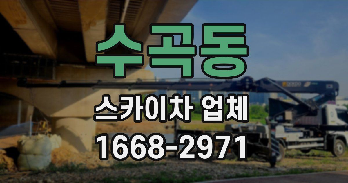 수곡동 스카이차 업체