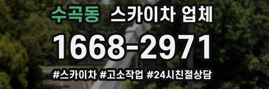 수곡동 스카이차 업체