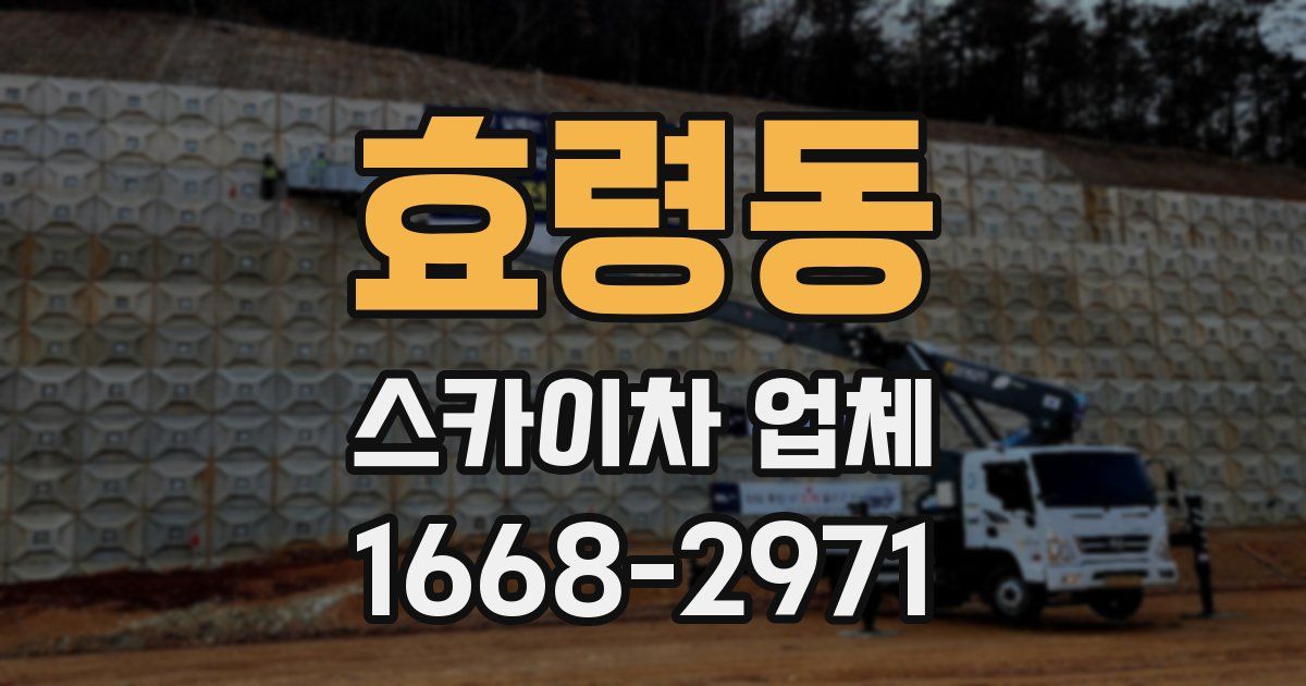 효령동 스카이차 업체