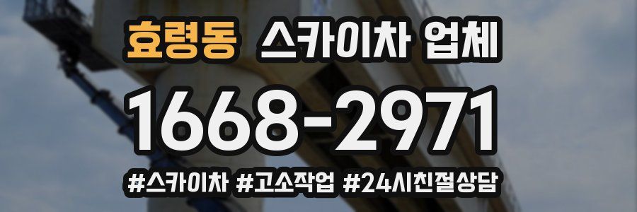 효령동 스카이차 업체