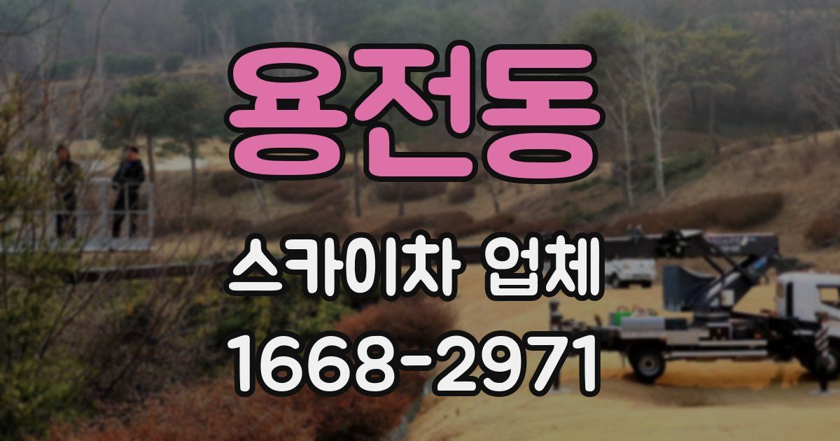 용전동 스카이차 업체