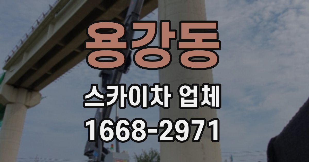 용강동 스카이차 업체