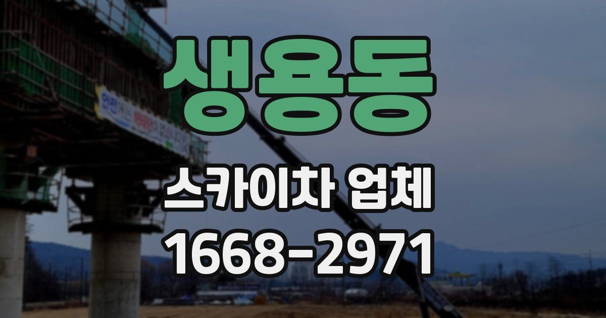 생용동 스카이차 업체