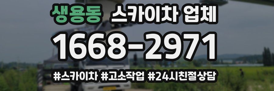 생용동 스카이차 업체