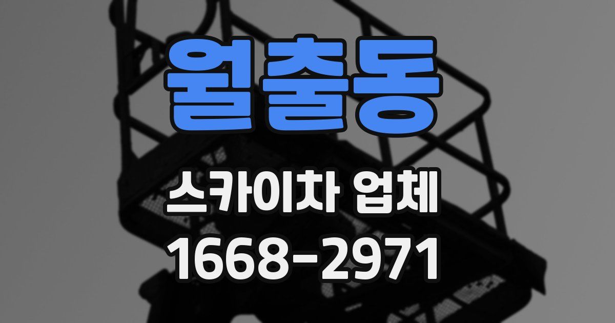 월출동 스카이차 업체