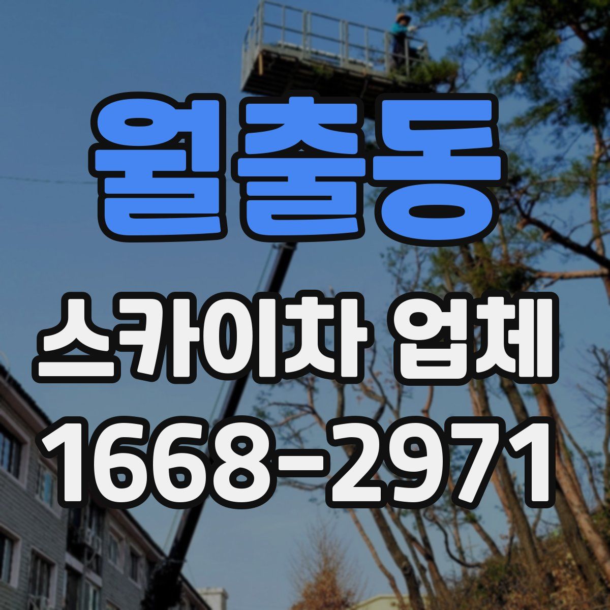 월출동 스카이차 업체