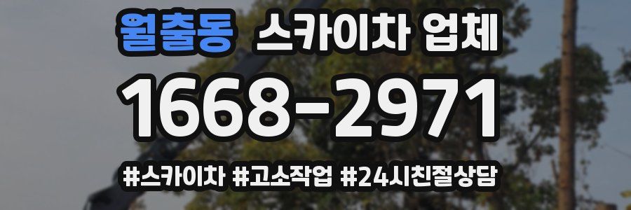 월출동 스카이차 업체