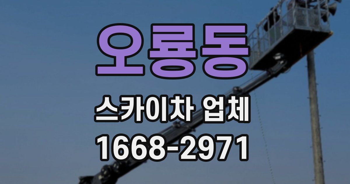 오룡동 스카이차 업체