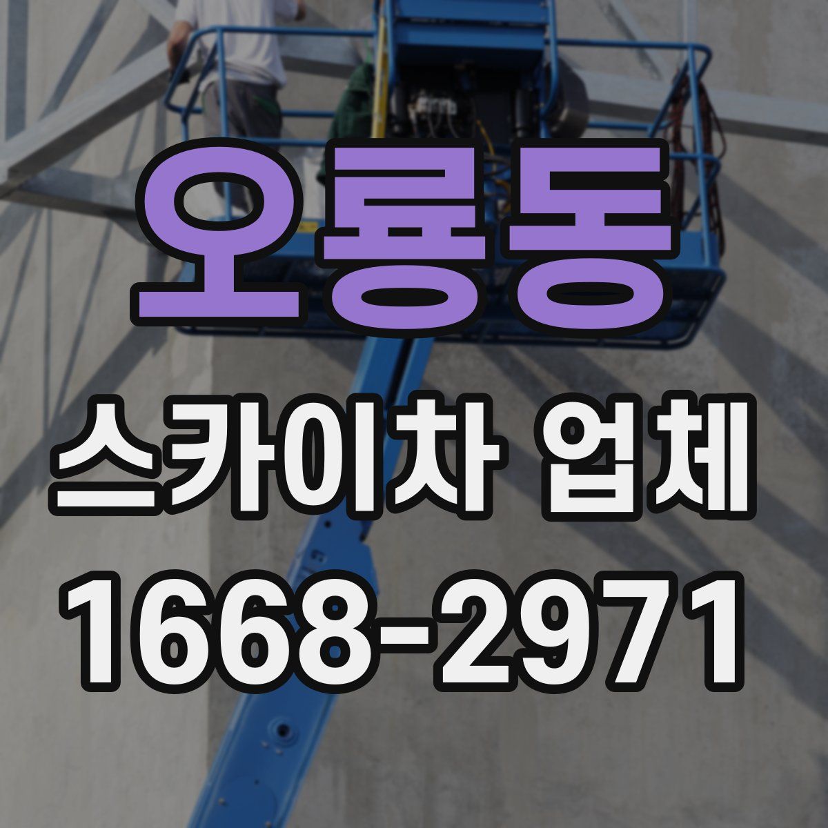 오룡동 스카이차 업체